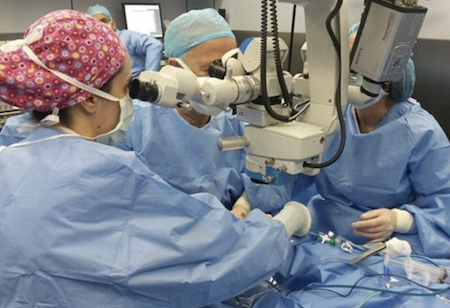 Микрохирургия руки в Израиле: операции на кисти, запястье и пальцах. Отзывы и цена